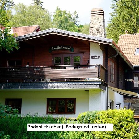 Ferienwohnungen Forellengrund Schierke Exteriér fotografie